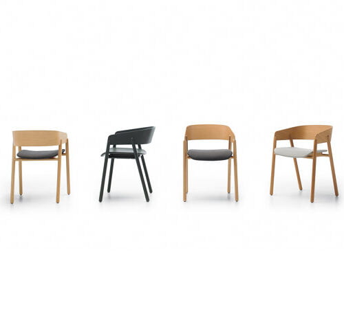 dining arm chair om-dac0006