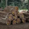 Kelebihan-furniture-kayu-jati-solid-omah-mebel-jepara-tpk